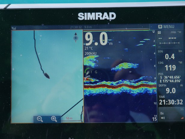 cid_0a09447e-a7e9-4800-b032-312cdf04e780