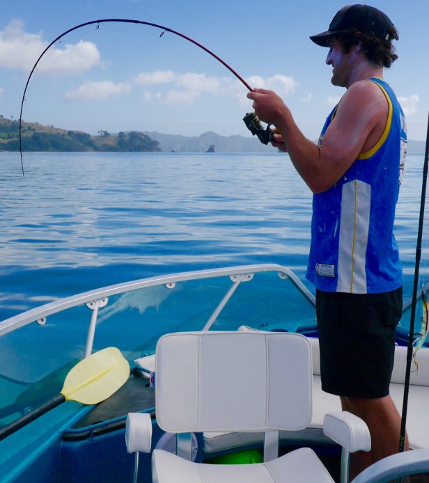 cid_783fd46f-2985-4408-994c-95092b9a8f1d