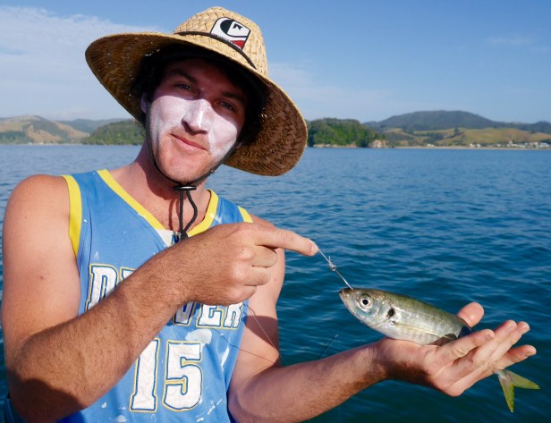 cid_d65f7d51-c874-4663-ab2b-998197e6090d