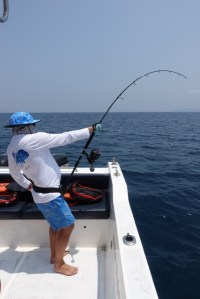 Angler fighting a tuna on a Hamachi rod, rod bent over, Gulf of Oman